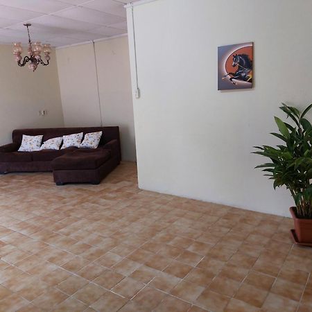 Mi Hogar Apartment Julianadorp Екстериор снимка